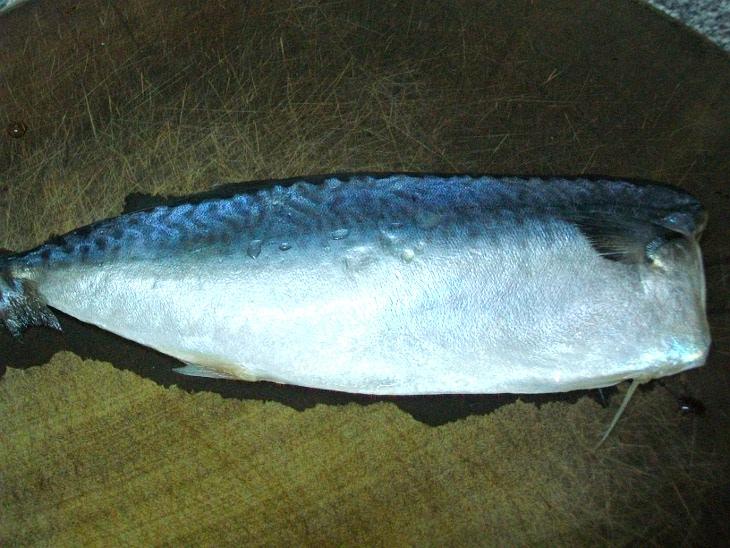 解凍完的鯖魚放在砧板上