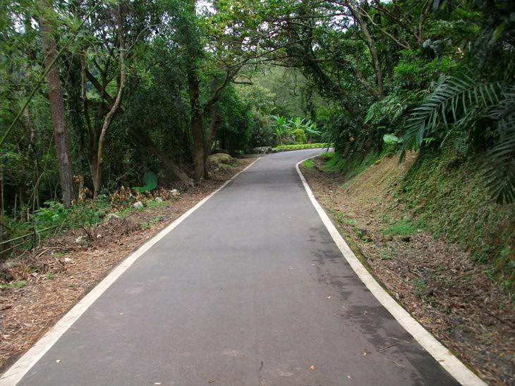平整個柏油路