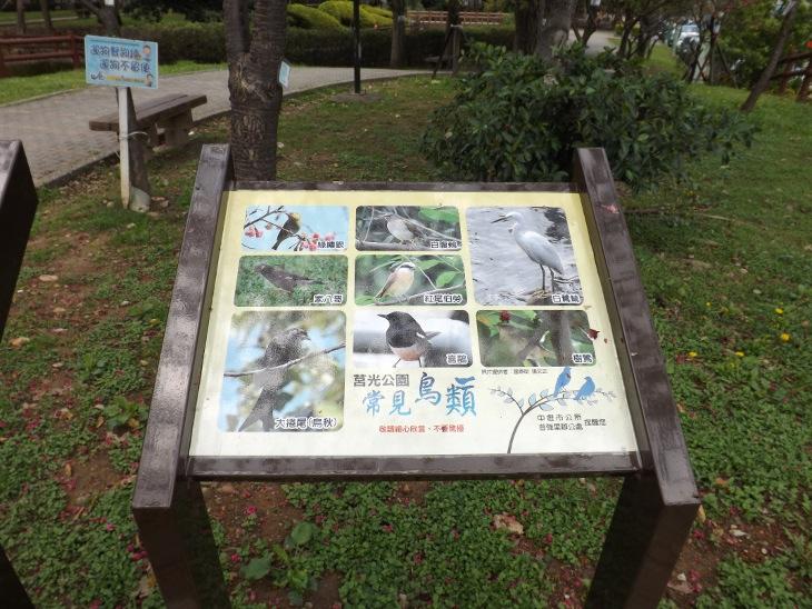 常見鳥類二