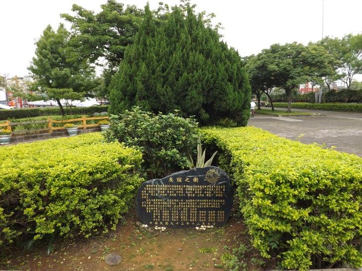 龍潭運動公園的友誼之樹