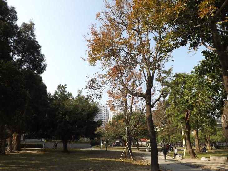 公園靠中美路端景色一