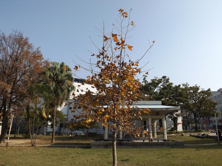 公園靠中美路端景色二