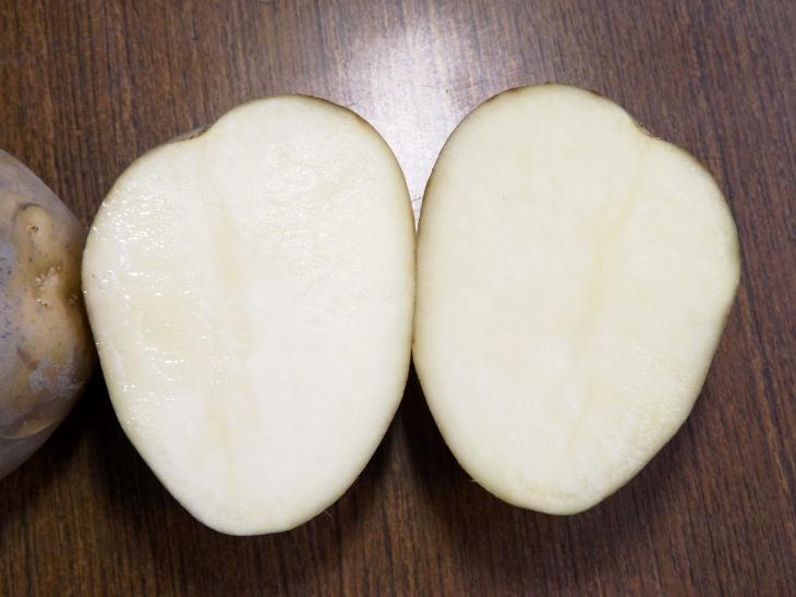 新鮮對切馬鈴薯樣貌