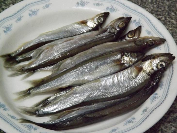 產自加拿大的柳葉魚還是毛鱗魚？