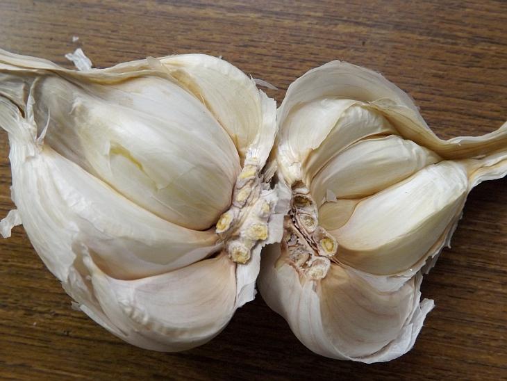 新鮮的蒜頭內部與蒜瓣