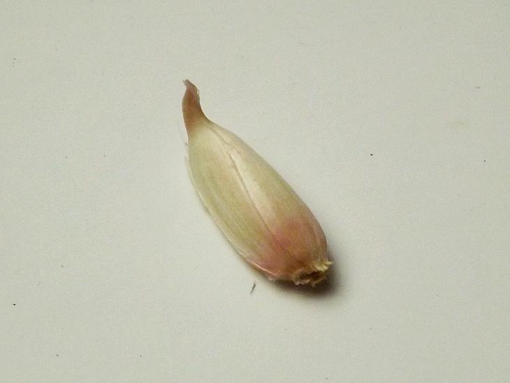 細長的蒜瓣