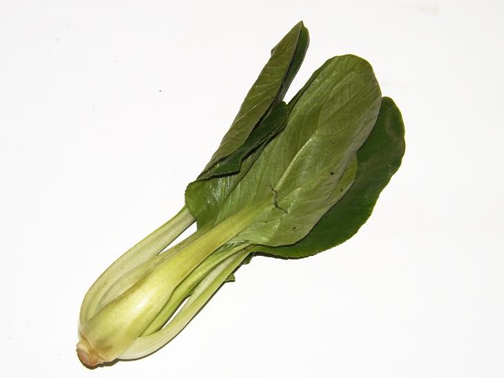 青江菜外觀