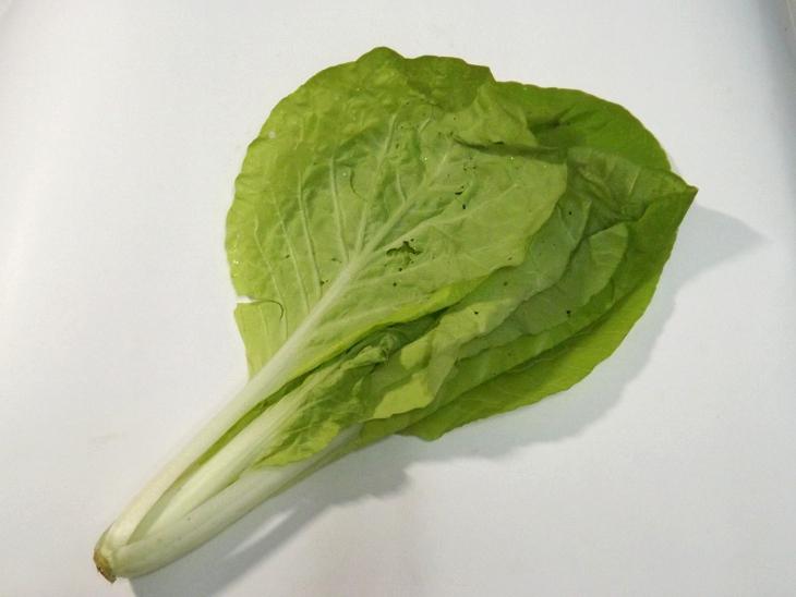 小白菜外觀