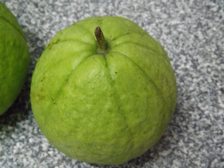 芭樂的外觀樣貌