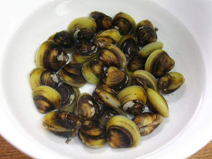 河蜆外觀